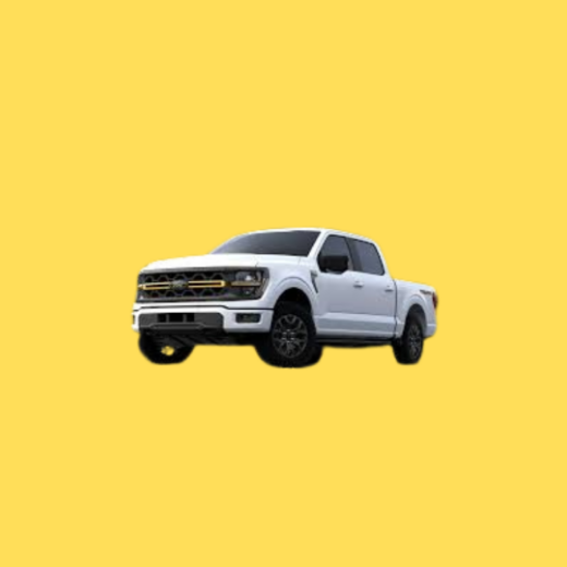 Picture for category F-150