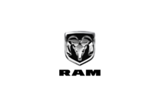 Picture for category RAM