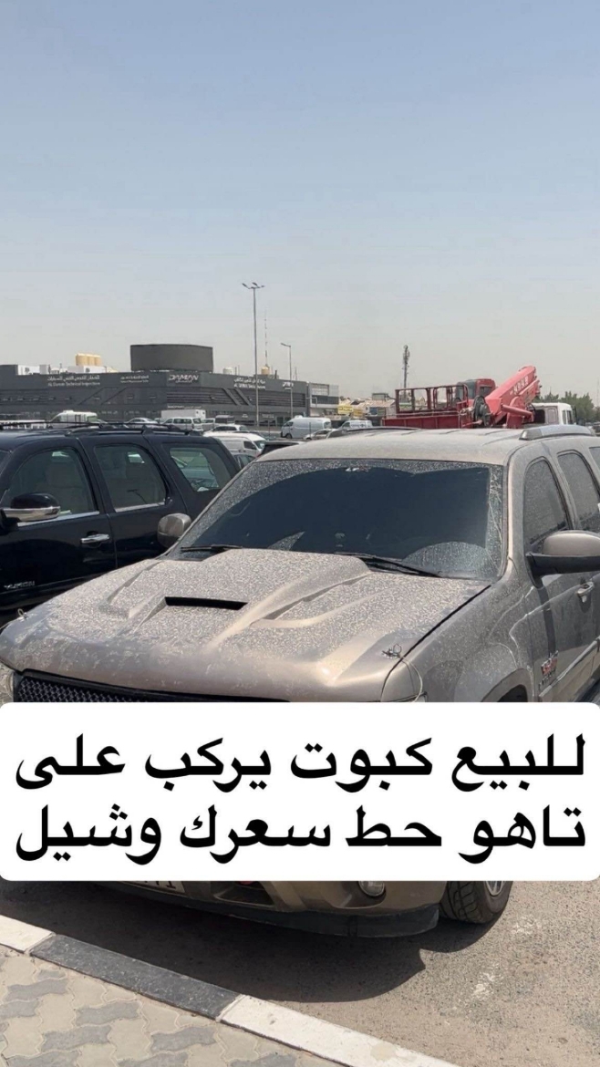 Picture of كبوت
