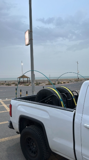 Picture of ارايل 