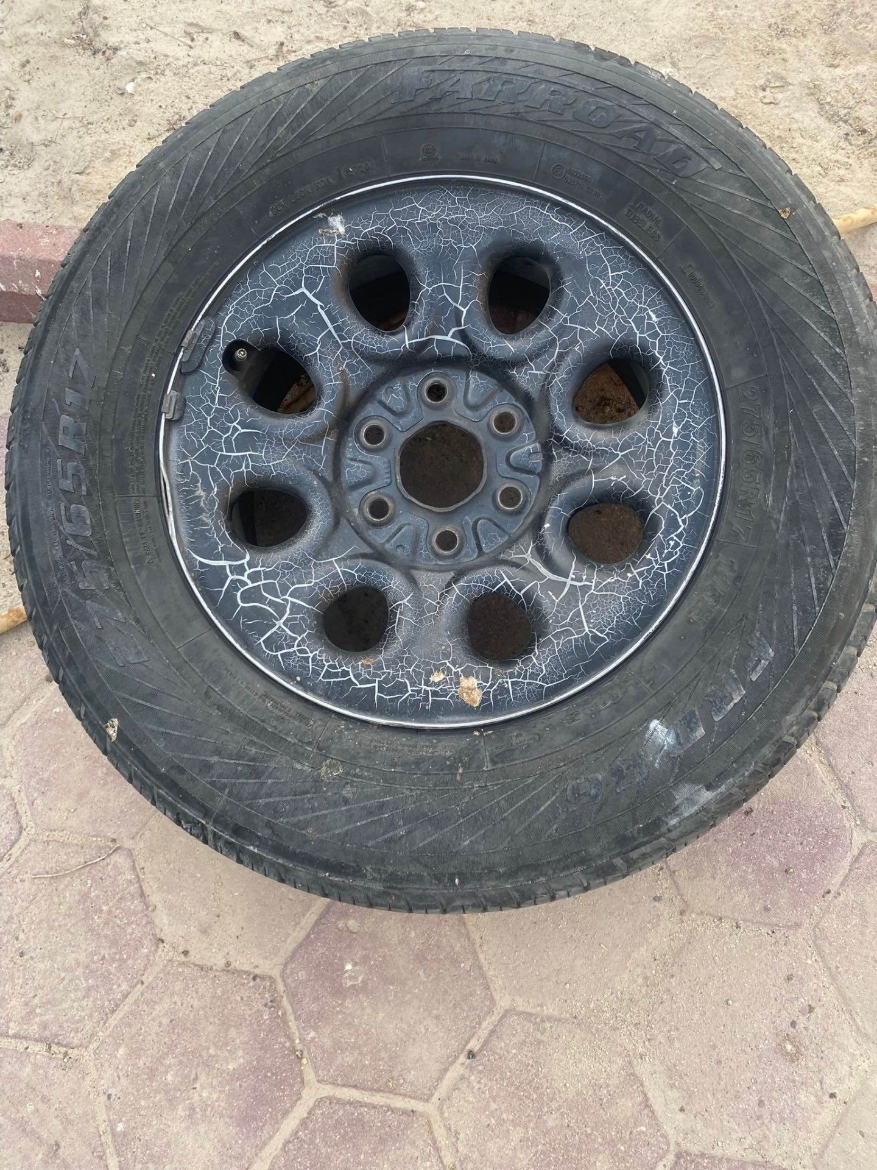 Picture of للبيع رنقات