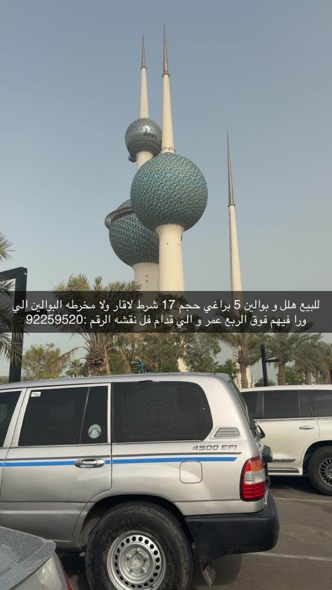 Picture of بوالين مع هلا