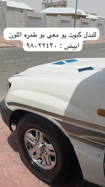 Picture of البدل كبوت 
