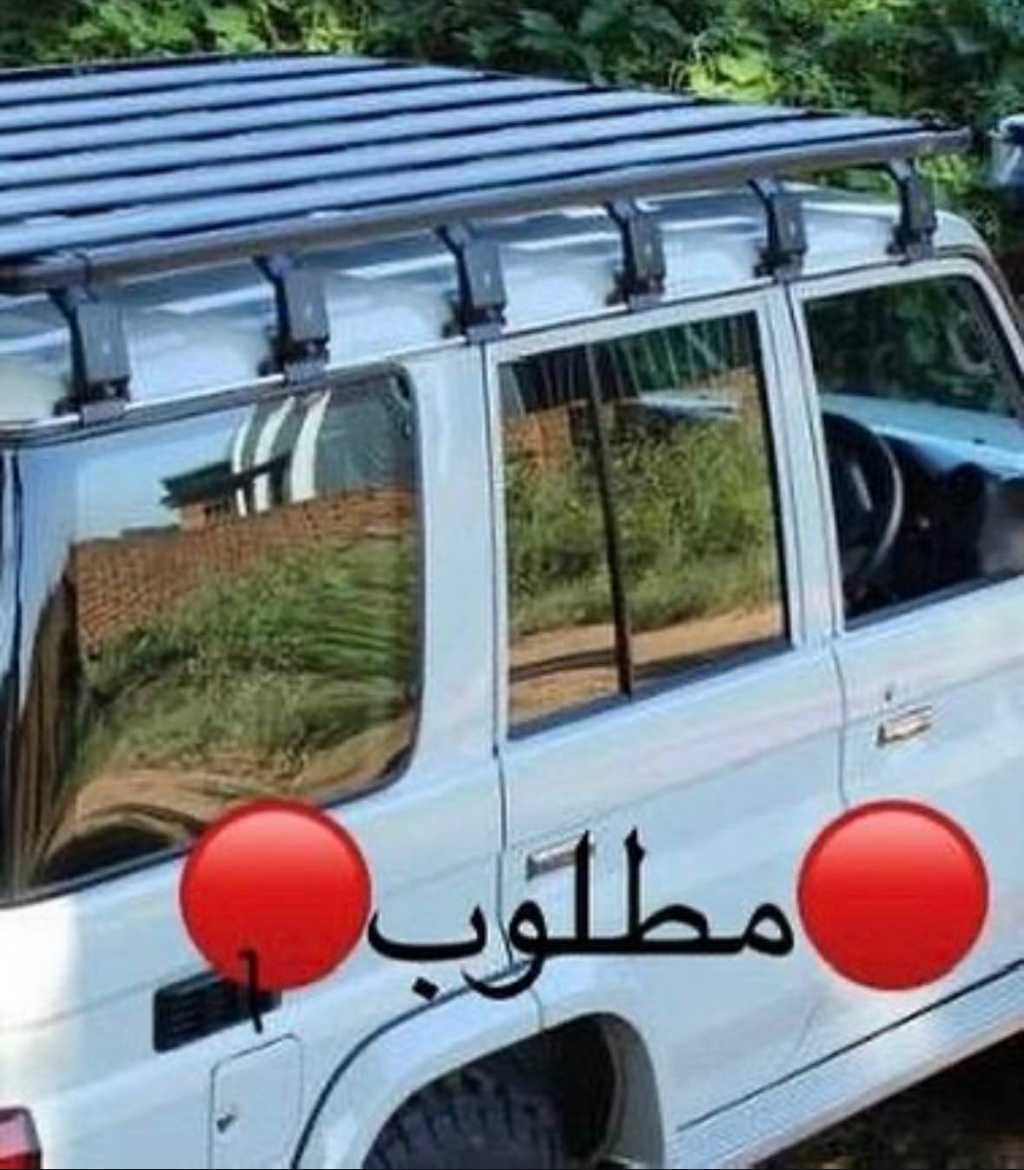 Picture of مطلوب  سله 