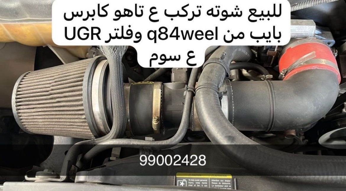 Picture of شوته للبيع