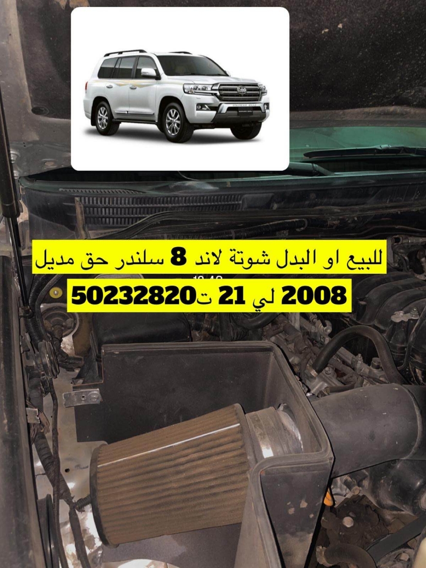 Picture of شوته البدل 