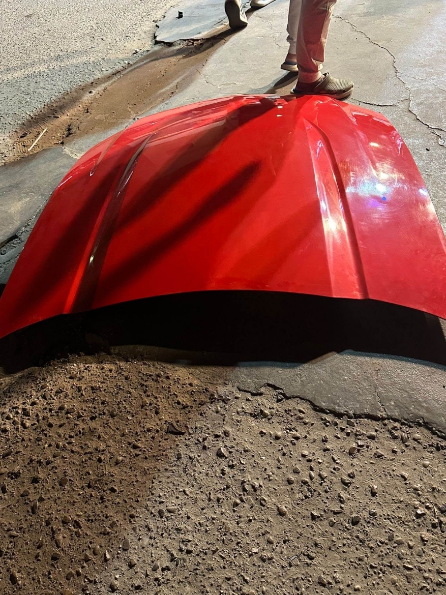 Picture of كبوت بو طمره 