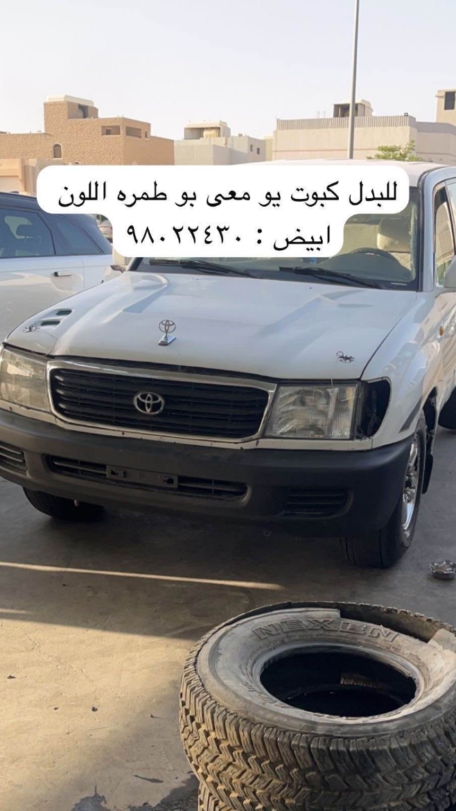 Picture of البدل كبوت 
