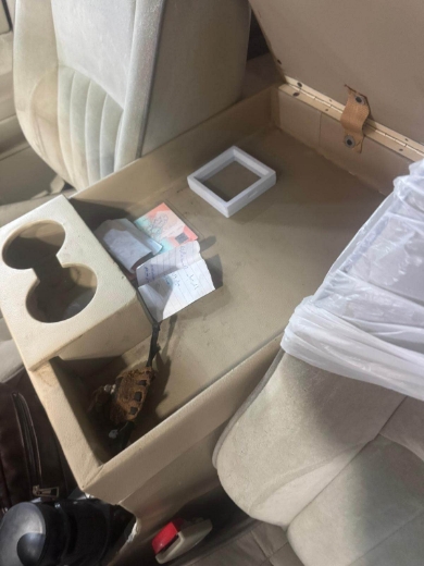 Picture of تكايه