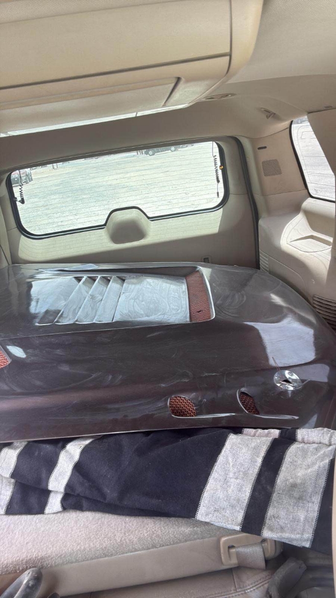 Picture of كبوت للبيع فتك