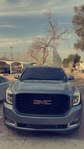 Picture of شبك دينالي اسود 