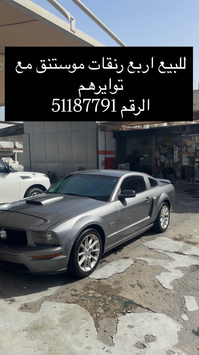 Picture of رنقات موستنق