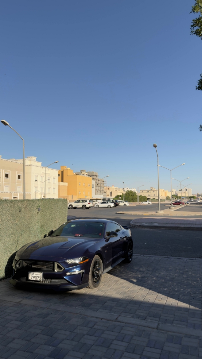 Picture of دعامية وكالة وشبك RTR  