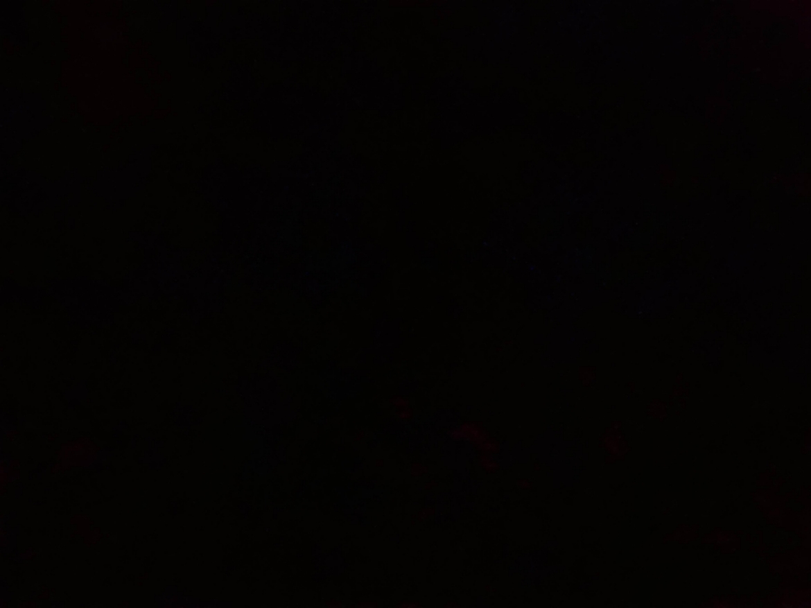 Picture of مطلوب رنقات F150 سبورت2023