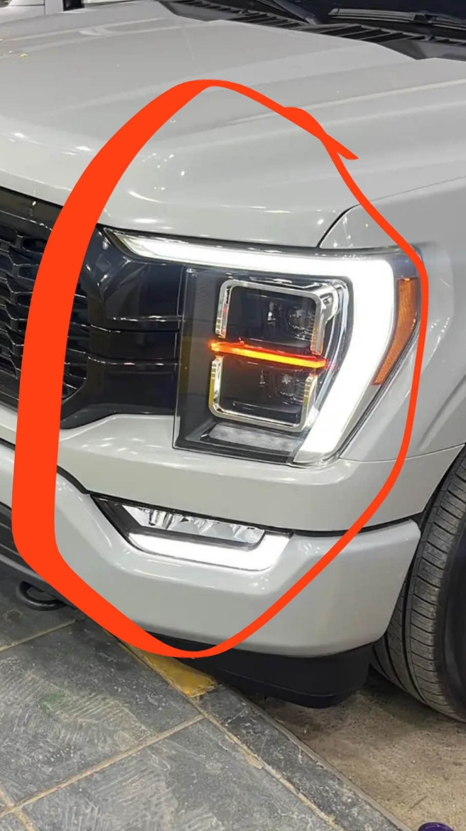 Picture of اصطابات لاريت 