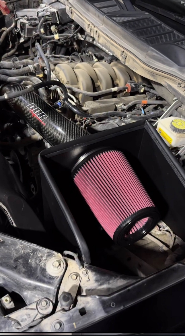 Picture of مطلوب شوته  كاربون Ddr -F150