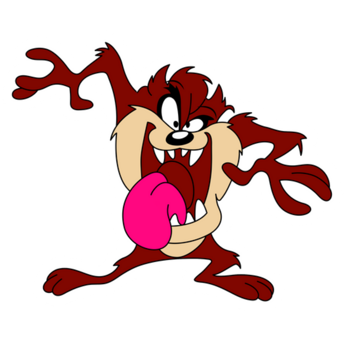 Picture of كامات بوعبيد Taz ستيج 3