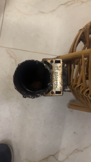 Picture of عكفه فورتكس