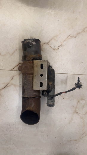 Picture of عكفه فورتكس