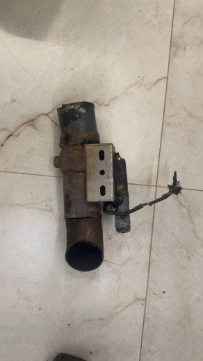 Picture of عكفه فورتكس