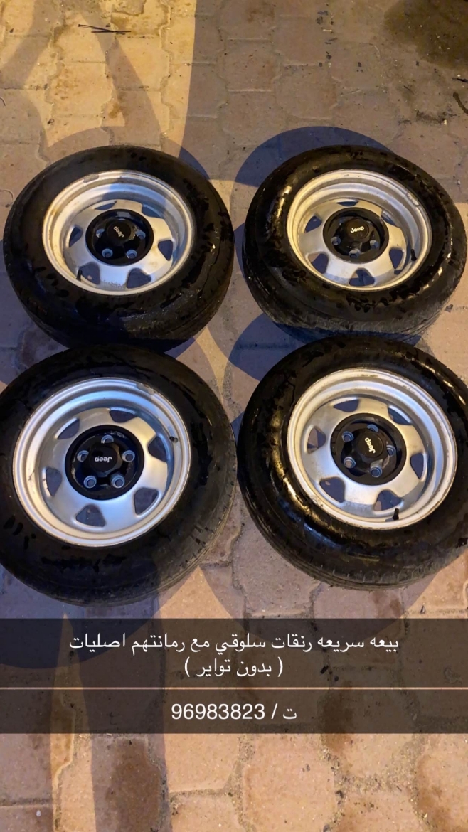 Picture of للبيع رنقات سلوقي