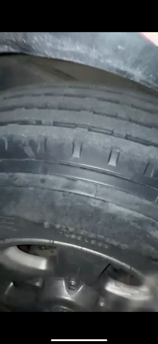 Picture of للبيع ٥ بوالين نص عمر٤ ديرو واحد مدري شنو شركته فول نقشه