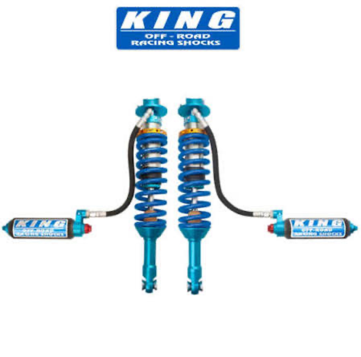 Picture of مطلوب معاونات كنق ٣.٠ حق رابتر ٢٠١٤