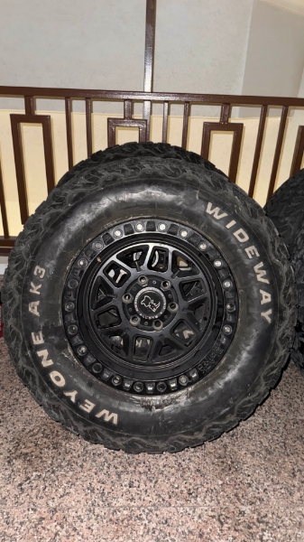 Picture of بلاك راينو