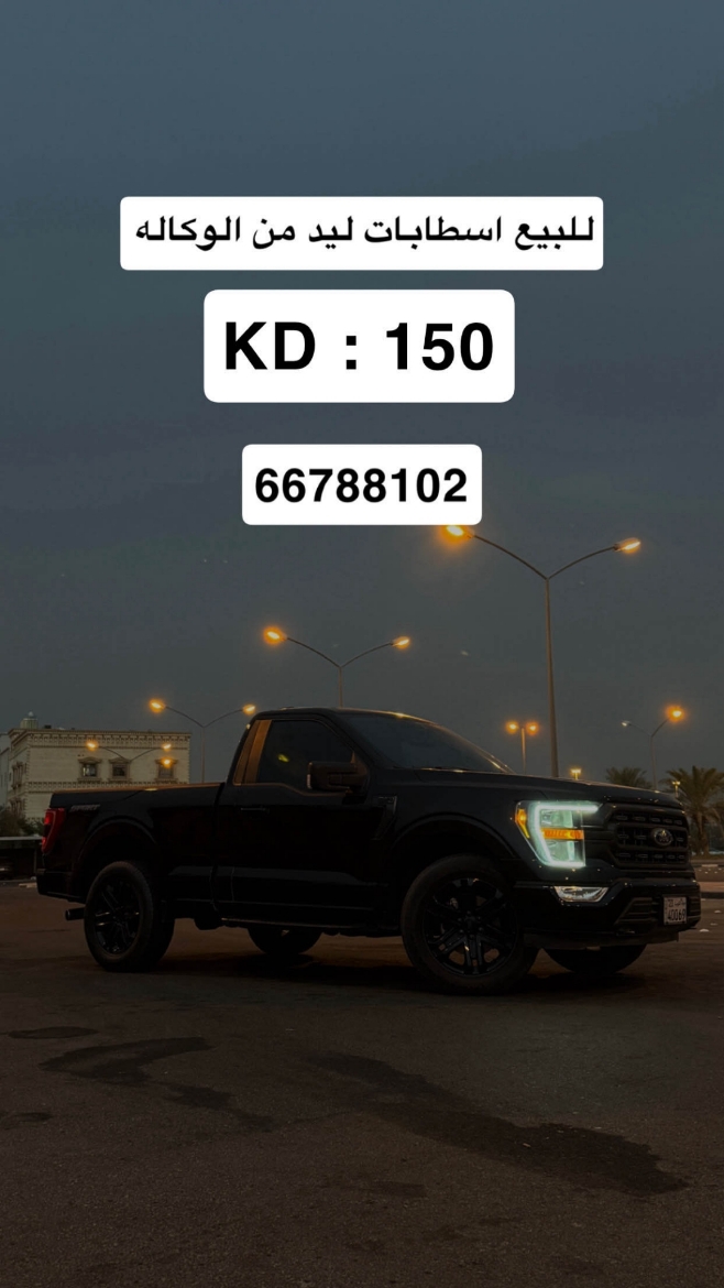 Picture of سطابات F-150 2021