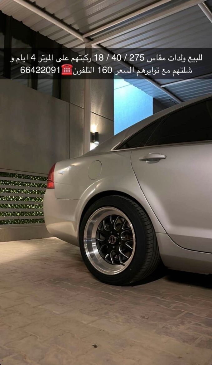 Picture of للبيع ولدات مع توايرهم جدد