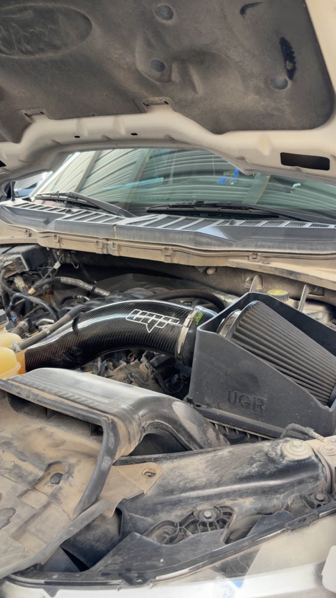 Picture of شوته UGR كاربون