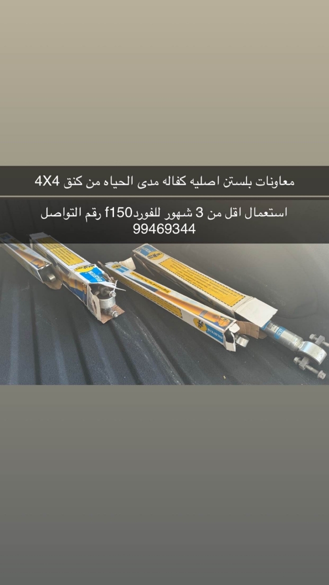 Picture of معاون بلستن 